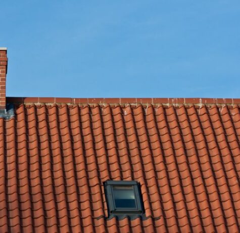 10041057 tiles roof